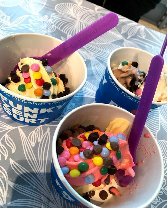 Frozen Yogurt and more